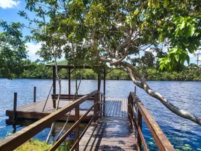 It's Summer 36: gated community on the edge of Rio - Image 2