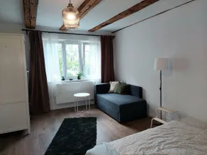 Beautiful, new apartment in historic building - Image 3
