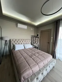 OMG Suite - Image 3