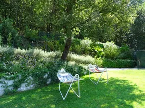 nature house - An oasis surrounded by greenery - Image 5