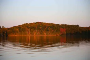 Place: Bright and Cozy Woodland Retreat - Image 5