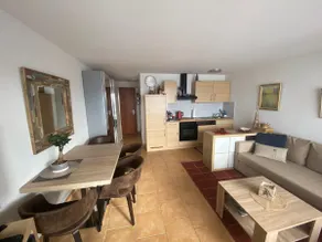Peaceful apartment in the Swiss Alpes, Vercorin - Image 3