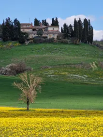 Pian'D'olmo, an ancient farmhouse in the heart of Tuscany - Image 4