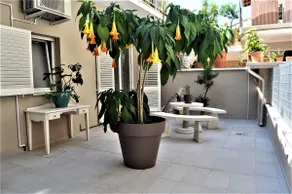 B&B Fontanella32  - Image 2