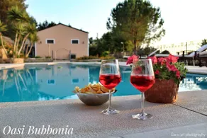 Relax and quiet in Villa with swimming pool - Image 5