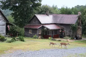 One of a kind historic farmhouse 10 minutes from Tryon Equestrian. Speaks French - Image 4