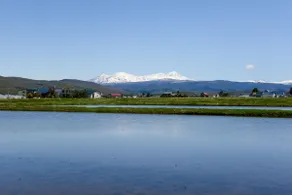 A relaxing space surrounded by rice fields - Image 2