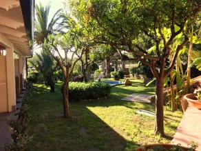 zambrone Tropea - new apartment - private beach - Image 3
