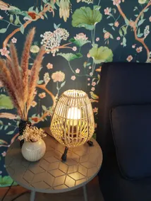 Nature/wellness lodging 15 km from Saint Malo - Image 5