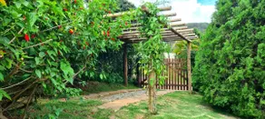 Vila Silvestre - Image 2