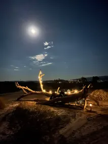 Little Lucky Stars - Image 4