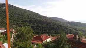 Dimitras Garden Villa - Image 3