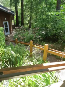 Sproat Lake Family Retreat. Pets are welcome! - Image 2