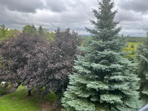Entire Townhouse -Escape to Door County - Image 2
