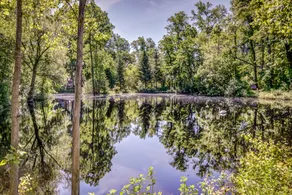 Nature retreat - 8 private acres & stocked pond! - Image 2