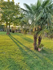 Sweet home Bereguardo - Image 5