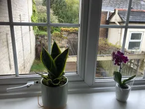 2 bed house near University - Image 2