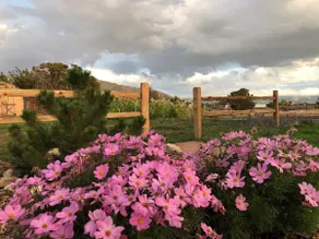Countryside studio with incredible views! - Image 4