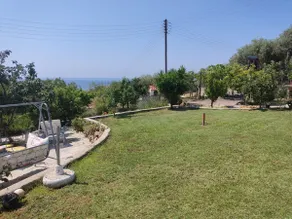 Paradise - Image 5