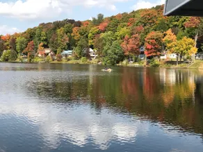 Blue Heron Lake House on Gorton Lake - Image 2