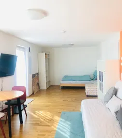Private room with bathroom, terrace & separate entrance - Image 5