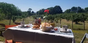 Serena Country Home - Image 2