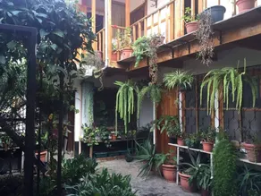 Paraiso del Valle Chalet - Image 3