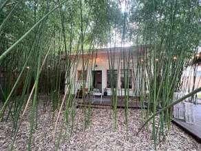 Canty House at Bishop Arts-Unit B - Image 2
