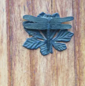 Dragonflies - Image 2
