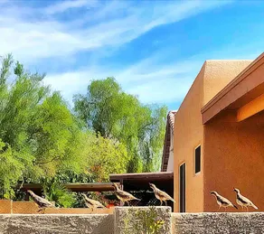 Wonderful hideaway in Tucson’s Starr Pass. - Image 2