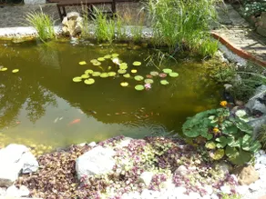 Refugium Ottenthal - Image 2