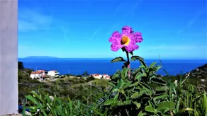 Appartamento Nature Il Colle - Image 2