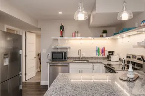 Newly renovated Brookline 1bd Apartment - Image 5