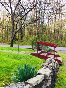 York River's Private Escape - Image 5