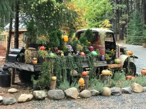FairyTale Cottage Retreat, Love Dogs & Disc Golf - Image 4