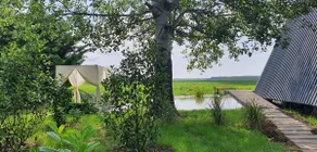Héhatár Wellness Guesthouse with Alpacas – Gerle - Image 3