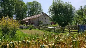 Original hamlet at the heart of Gipuzkoa - Image 2