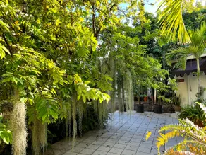 Orchid Cottage - Image 3
