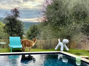 Beautiful sheepfold among the alpacas. 🦙 - Image 2
