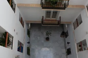 La Terraza del Drago - Image 5