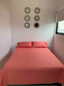 Kio Inn “D” apartment downtown Monterrey - Image 4