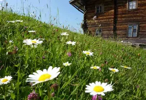 Mountain Resort Villa Sternkopf Rittersgrün  - Image 3