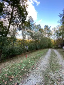 Beautiful, secluded cabin on 6 acres w/sauna - Image 2
