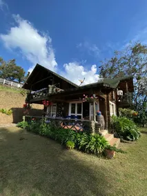 Log cabin, log cabin - Image 3