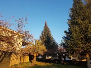 Las Hazas Jarandilla de la Vera - Image 4