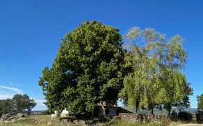 Finca La Francesa - A hideaway in El Monte de Béjar - Image 3