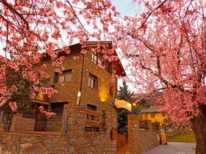 Traditional Pyrenees house with lots of comfort - Image 5
