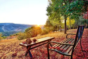 Stunning Views, 23 miles to Yosemite, Pickleball! - Image 5