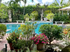 Tropical Charm - Image 2