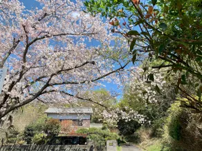 Ensoh: Hideaway Portal to Naoshima & Art Islands - Image 2